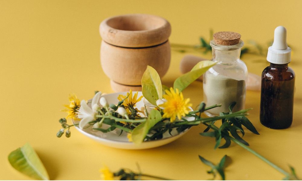 Domácí homeopatie: Jak připravit účinné léky a vyhnout se chemii